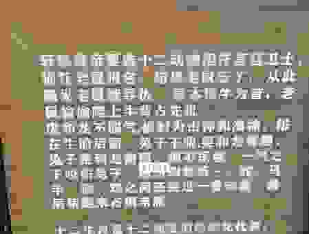 天崩地裂是什么生肖？这几个理由解释得非常清楚