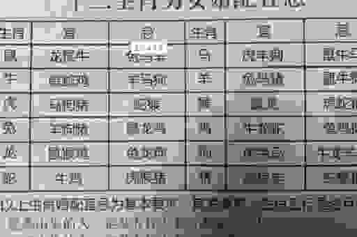 花香鸟语指什么生肖？资深玩家为你解析生肖的奥秘