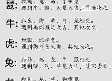 气宇轩昂指的是哪个生肖?带你深入了解生肖文化!