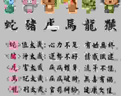 殚精竭虑的最佳生肖是什么?分析性格看哪个生肖最辛苦