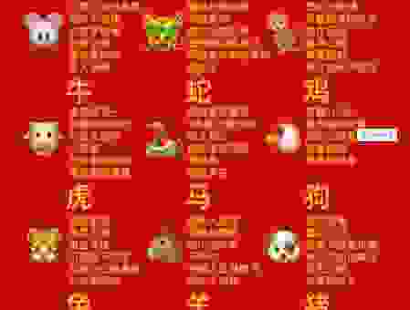 出口不逊是什么生肖?为你解析这个词代表的生肖!