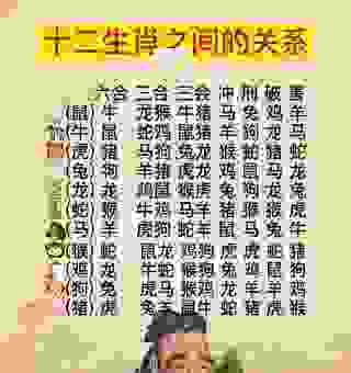 知人善任是什么生肖?揭秘最擅长识人用人的生肖动物