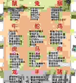 知人善任是什么生肖？揭秘最擅长识人用人的生肖动物