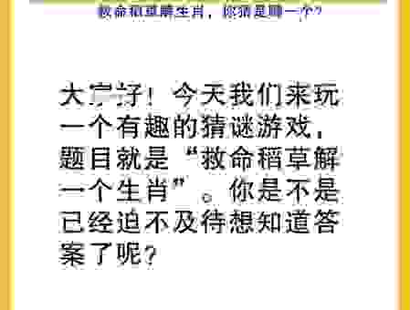 有头无尾是什么生肖?关于这个谜语的生肖分析