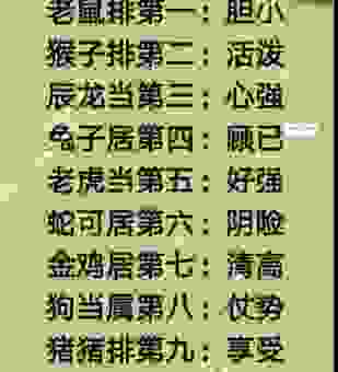 各有所长是什么生肖?看完这篇文章你就彻底明白了