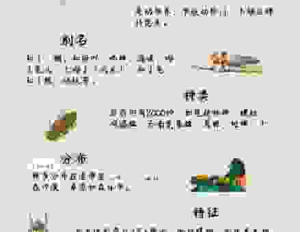 金蝉脱壳打一个正确生肖是什么？快来看看答案！