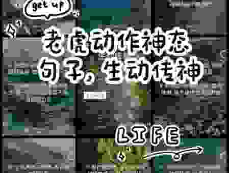 虎步龙行是什么意思？通过这些经典案例让你快速理解！