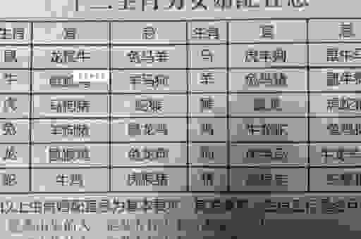九沟八弯合两家是什么生肖？帮你快速找到正确答案！