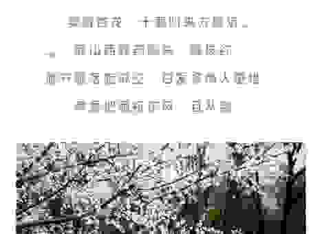 红杏出墙是什么意思？带你了解这个词的真实含义！