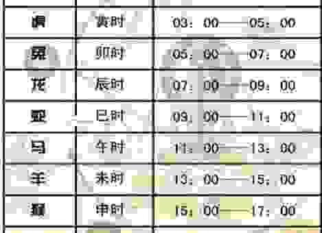 糖衣炮弹打一生肖的答案是什么?带你分析生肖含义!
