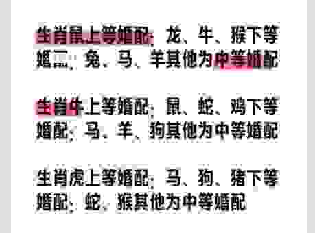 出双入对打一生肖是什么?这个生肖的准确答案在这里!